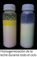 homogeneización de la leche durante el ciclo de pasteurización